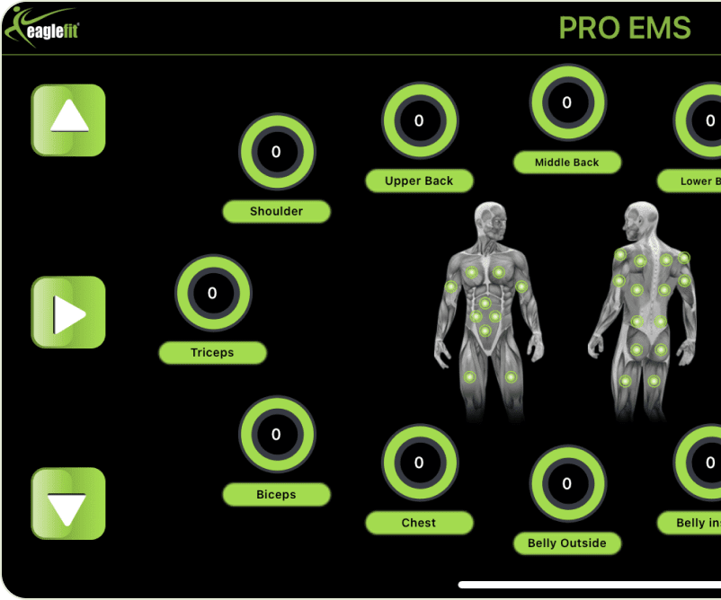 Controlling all the muscle groups in the app